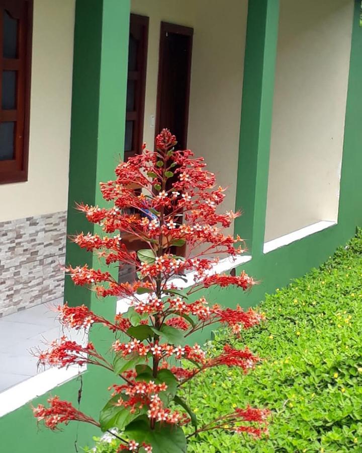 Wikungo Hotel Puerto Nariño Εξωτερικό φωτογραφία