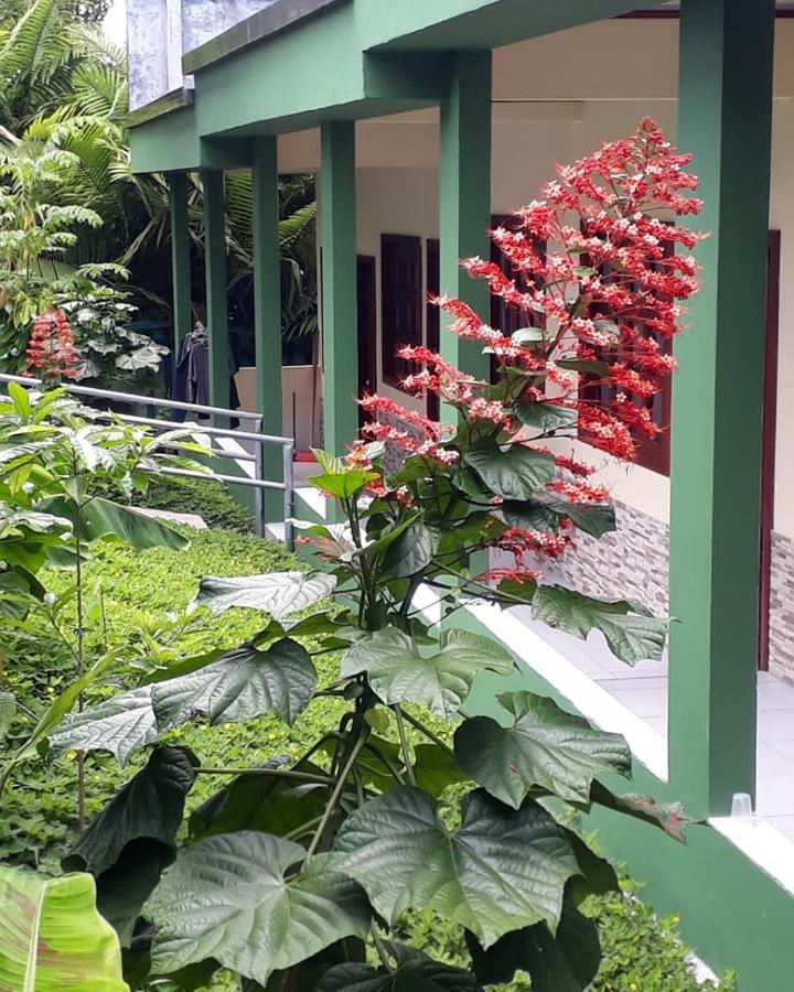 Wikungo Hotel Puerto Nariño Εξωτερικό φωτογραφία